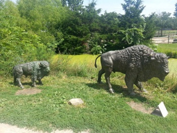 Brozne Bison Sculpture - Overland Park, KS.jpg