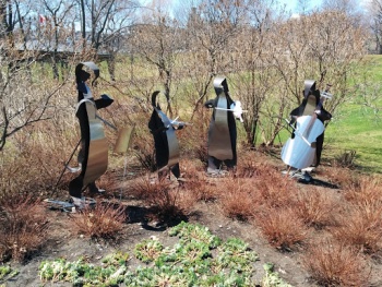 Penguins Orchestra - Ville de Québec, QC.jpg