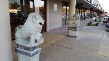 Vip Guardian Status - Carrollton, TX.jpg