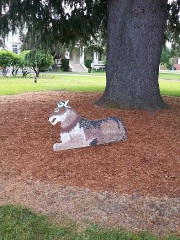 Burrows the Bad - Salem, OR.jpg