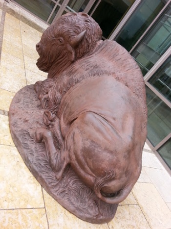 Bronze Buffalo - Oklahoma City, OK.jpg