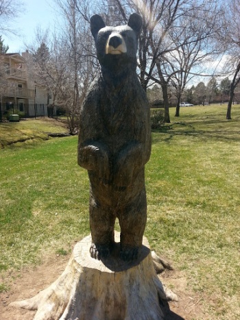 Da Bears - Englewood, CO.jpg