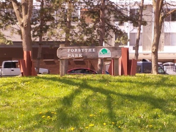 Forsythe Park - Ann Arbor, MI.jpg