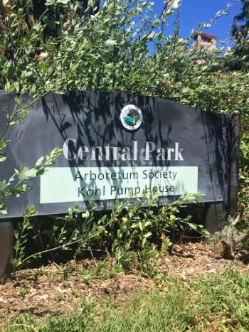 Central Park - San Mateo, CA.jpg