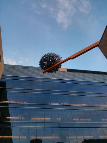 Giant Steel Bird's Nest - Edmonton, AB.jpg
