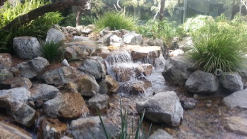 Water District Brook - Irvine, CA.jpg