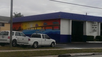 Honka Dolphin Mural - Clearwater, FL.jpg