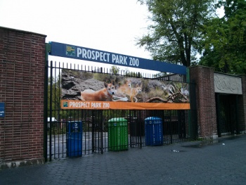 Prospect Park Zoo - Brooklyn, NY.jpg