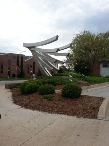 La Colomba - Columbia, MO.jpg