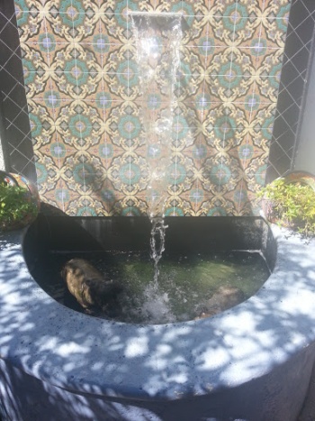 Miguels Fountain - Tampa, FL.jpg