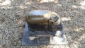 Piggy Statue - Louisville, KY.jpg