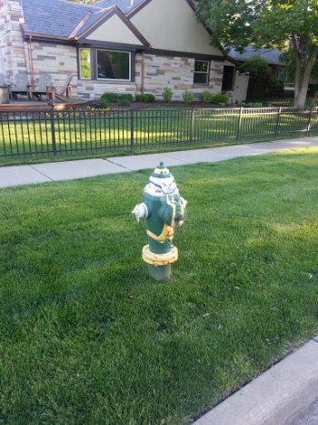 Notre Dame Fire-Fighting Irish Leprechaun - South Bend, IN.jpg