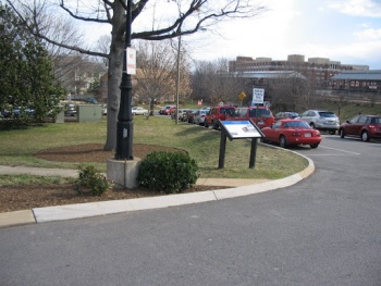 Alexandria - Alexandria, VA.jpg