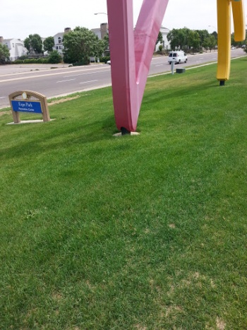 Expo Park - Aurora, CO.jpg