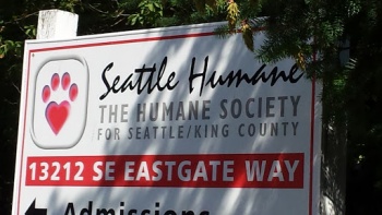 Seattle Humane Society - Bellevue, WA.jpg