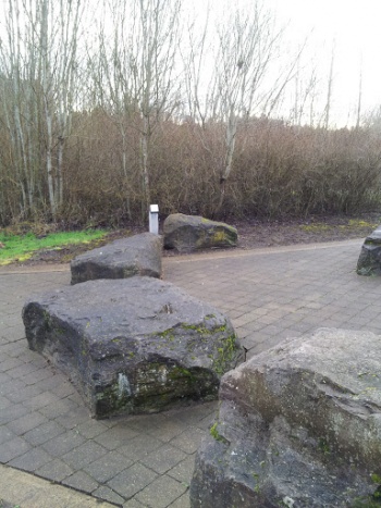 Burnt Bridge Trail Meditation Rocks - Vancouver, WA.jpg