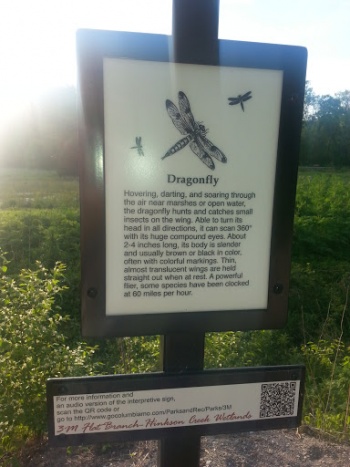 Dragonfly MKT - Columbia, MO.jpg