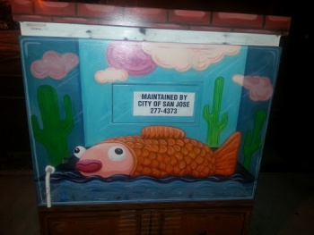 Fish Tank - San Jose, CA.jpg