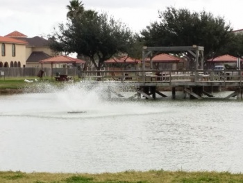 Mission Park Duck Pond - Mission, TX.jpg