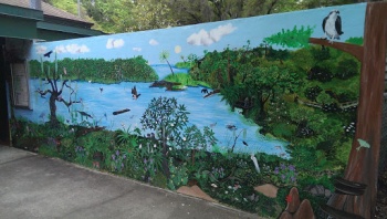 Moccasin Lake Mural - Clearwater, FL.jpg