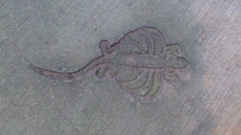 Flying Lizard in Concrete - Singapore, Singapore.jpg
