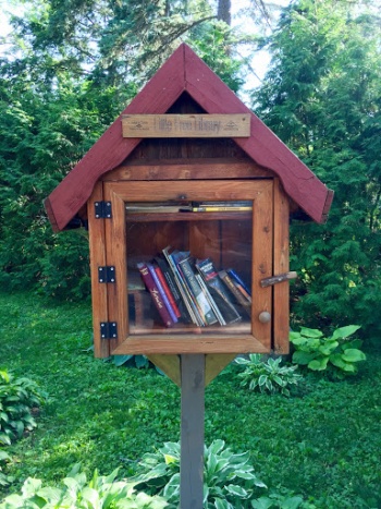 Little Free Library at Edgewood - Madison, WI.jpg