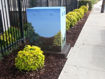 Yellow Flowers Utility Box - Santee, CA.jpg