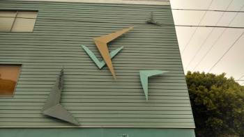 Birds - San Francisco, CA.jpg