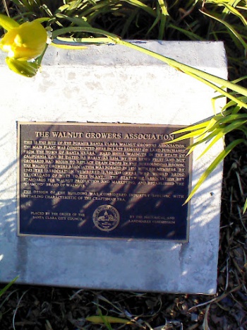 The Walnut Growers Association - Santa Clara, CA.jpg