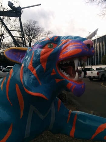 Pete - Memphis, TN.jpg