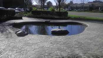 Wading Pool Fountain - Mountain View, CA.jpg