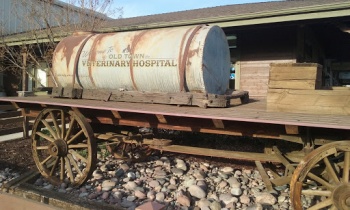 Old Town Vet - Murrieta, CA.jpg