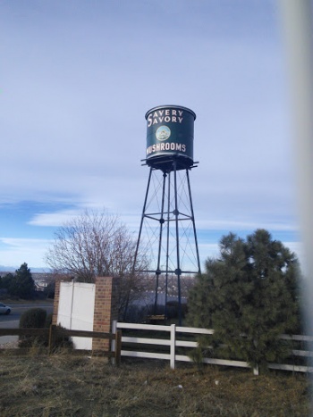 Savery Savory Mushrooms Water Tower - Westminster, CO.jpg