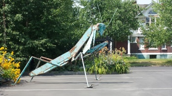 Praying Mantis - Spokane, WA.jpg
