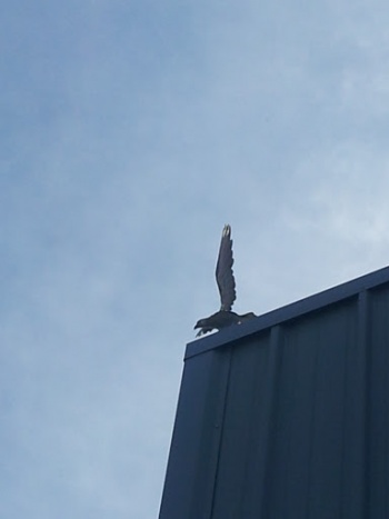 Gm Safety NW Eagle - Palmdale, CA.jpg