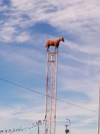 Sky Pony - Las Cruces, NM.jpg