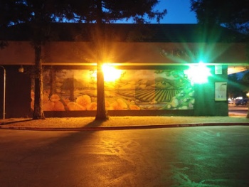 Forest Mural - Santa Rosa, CA.jpg