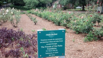 Memorial Rose Garden - Tallahassee, FL.jpg