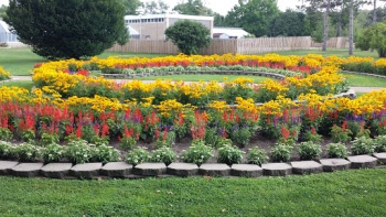 Semi Circles Garden - Springfield, IL.jpg