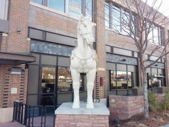 Belmar Horse - Lakewood, CO.jpg