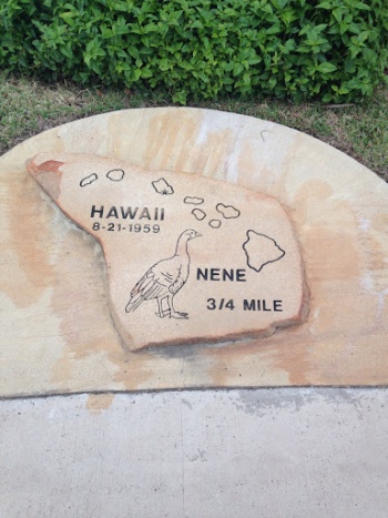 Hawaii Stone - McAllen, TX.jpg