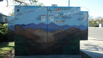 Landscape Utility Box - San Diego, CA.jpg