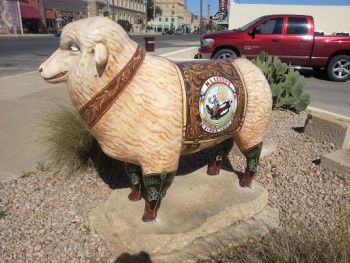 M. L. Leddy's Sheep - San Angelo, TX.jpg