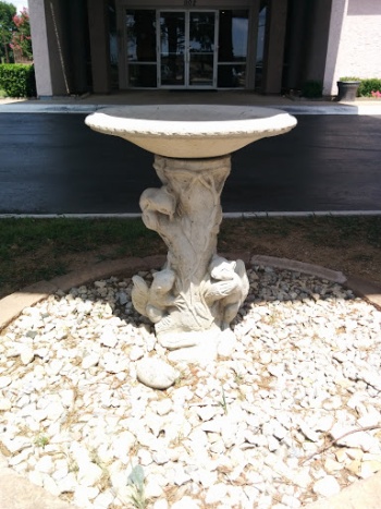 Squirrel Birdbath - Lewisville, TX.jpg
