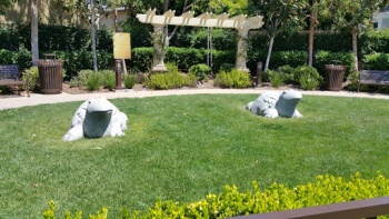 Brightwater Turtle Park - Huntington Beach, CA.jpg