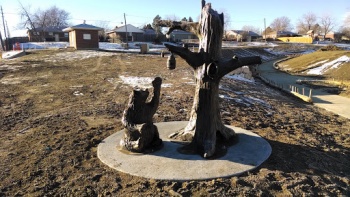 Honey Bear - Northglenn, CO.jpg