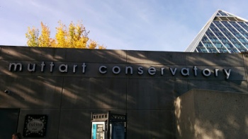 Muttart Conservatory - Edmonton, AB.jpg