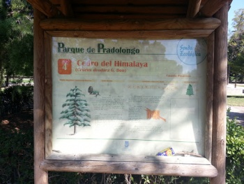 Senda Ecologica 4 - Madrid, Comunidad de Madrid.jpg