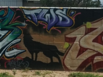 Coyote Mural - Las Cruces, NM.jpg