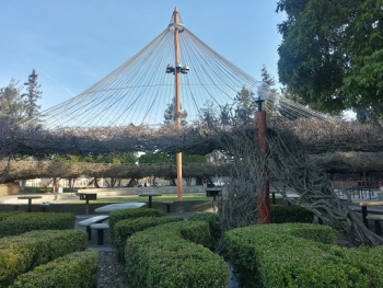 Central Park Pavilion - Santa Clara, CA.jpg